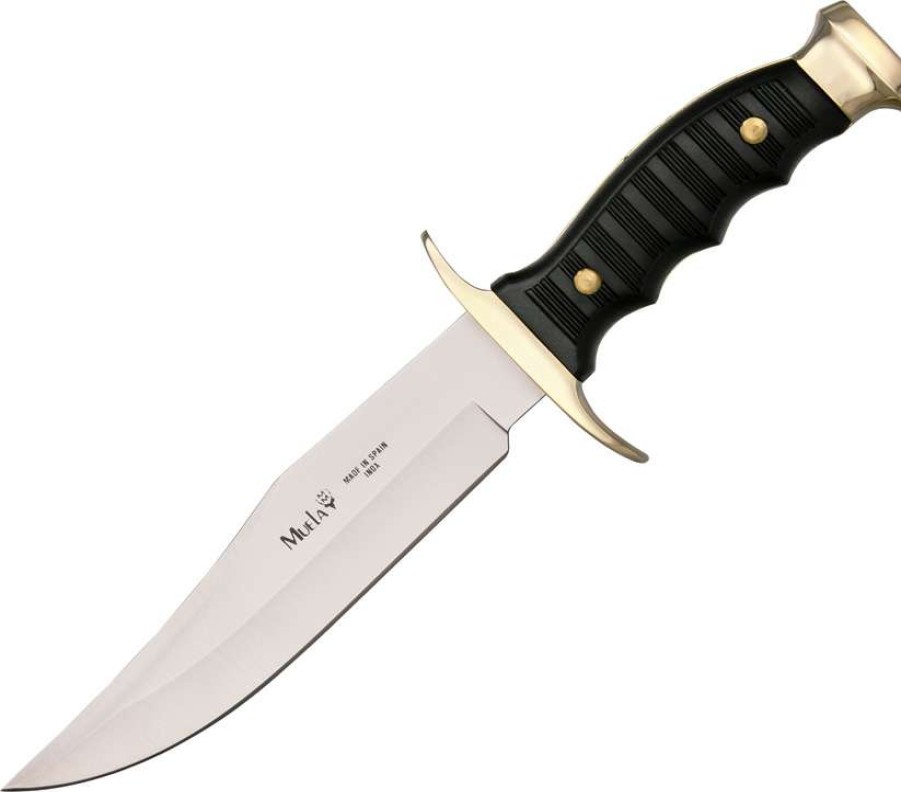 Knives * | Special Ci7180 Muela Bowie Knife