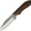 Knives * | Top Sellers Azjwk2Ajb Anza Fixed Blade Knife Amber Bone