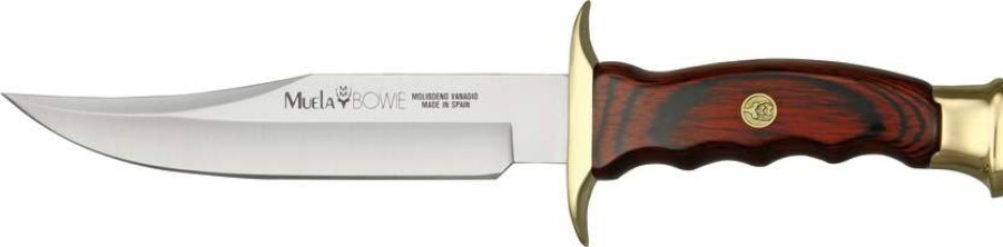 Knives * | Lower Prices Cibw16 Muela Cocobolo Bowie Knife